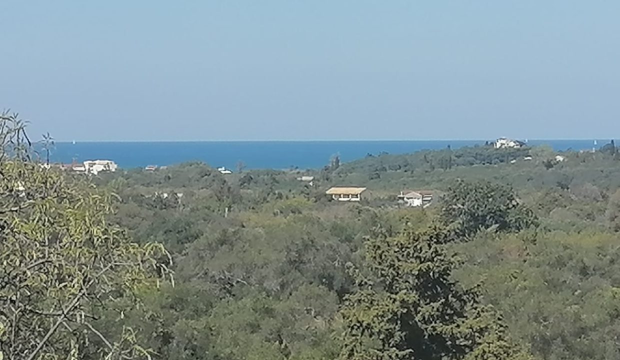 Sea View from The Property
